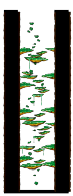 Minimap of Tree Dungeon, Forest Up North II