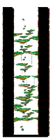 Minimap of Tree Dungeon, Forest Up North V